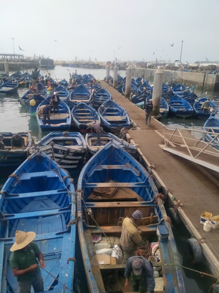 Essaouira Day Trip – photo 5