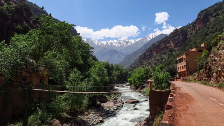 Ourika Day Trip – photo 4